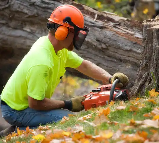 tree services Simpsonville